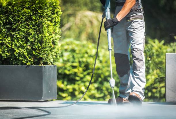 Best Soft Washing  in Cloverdale, VA